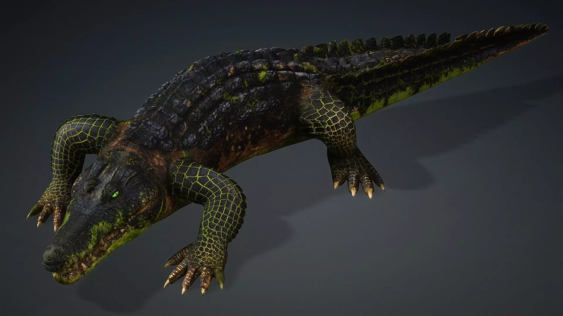 Crocodile-V1c 3D model_15