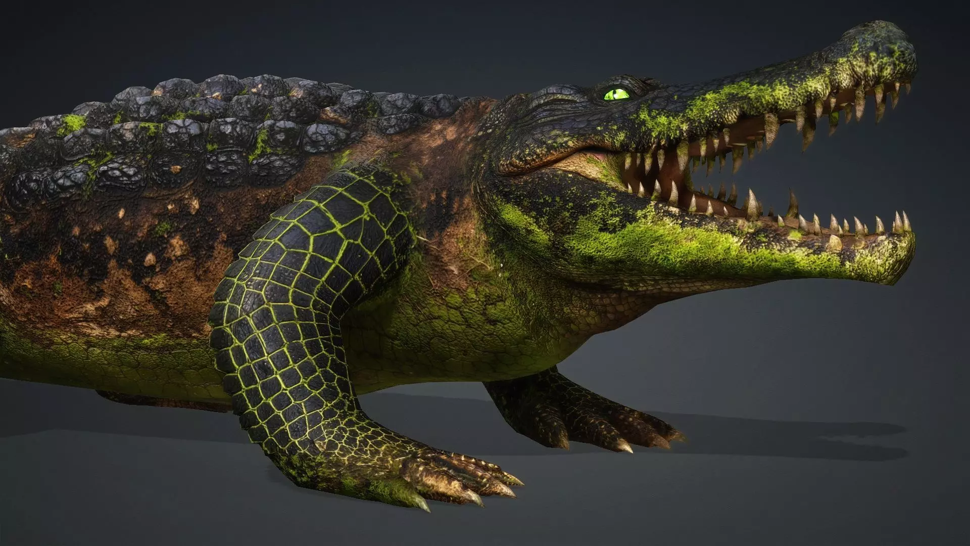 Crocodile-V1c 3D model_12