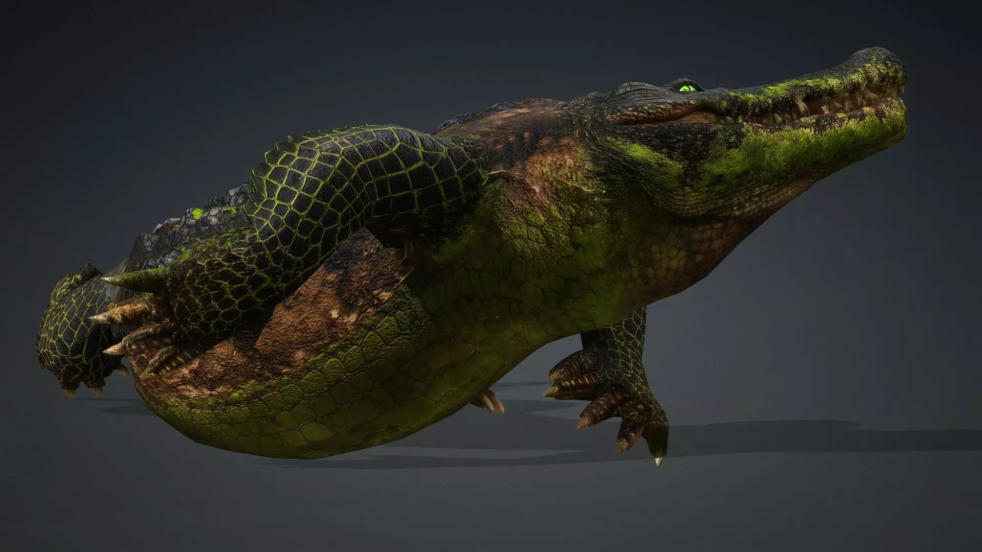 Crocodile-V1c 3D model_16