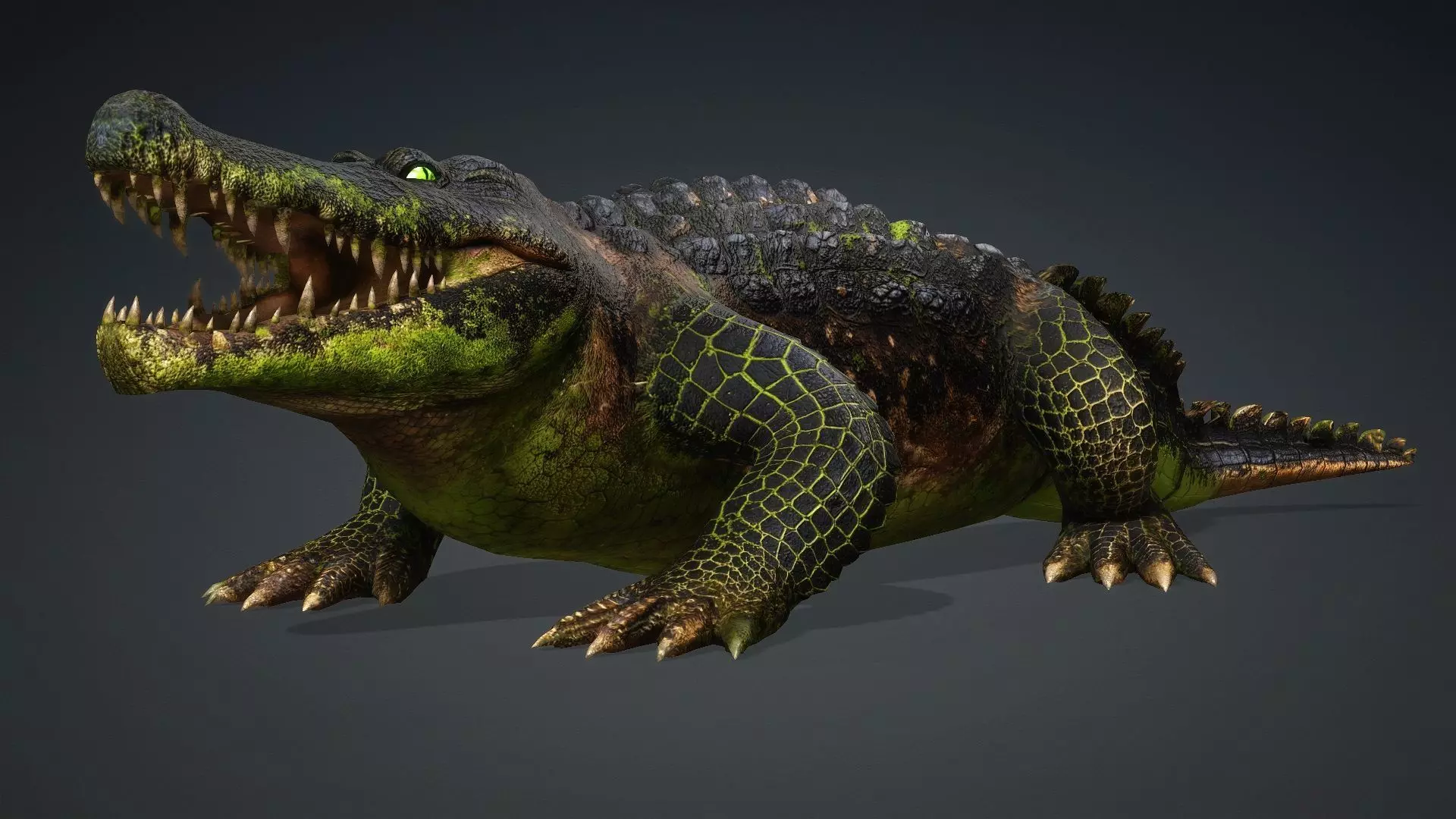 Crocodile-V1c 3D model_2