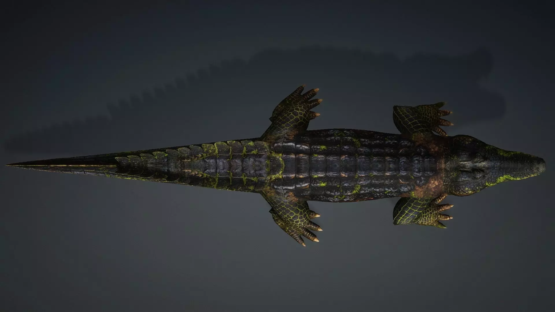 Crocodile-V1c 3D model_11