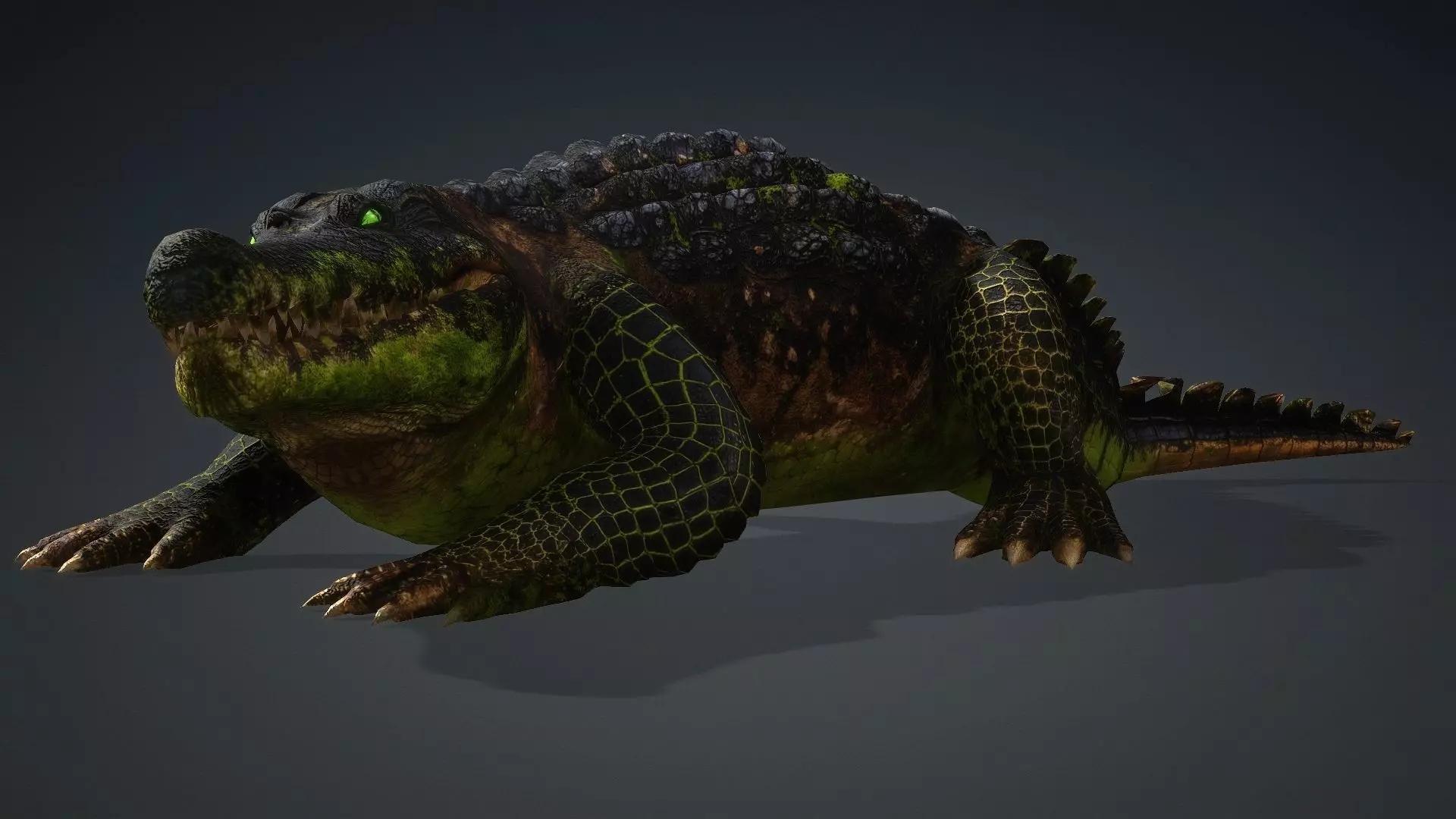 Crocodile-V1c 3D model_13