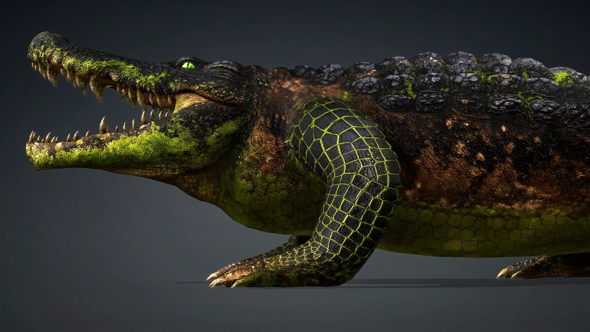 Crocodile-V1c 3D model_3