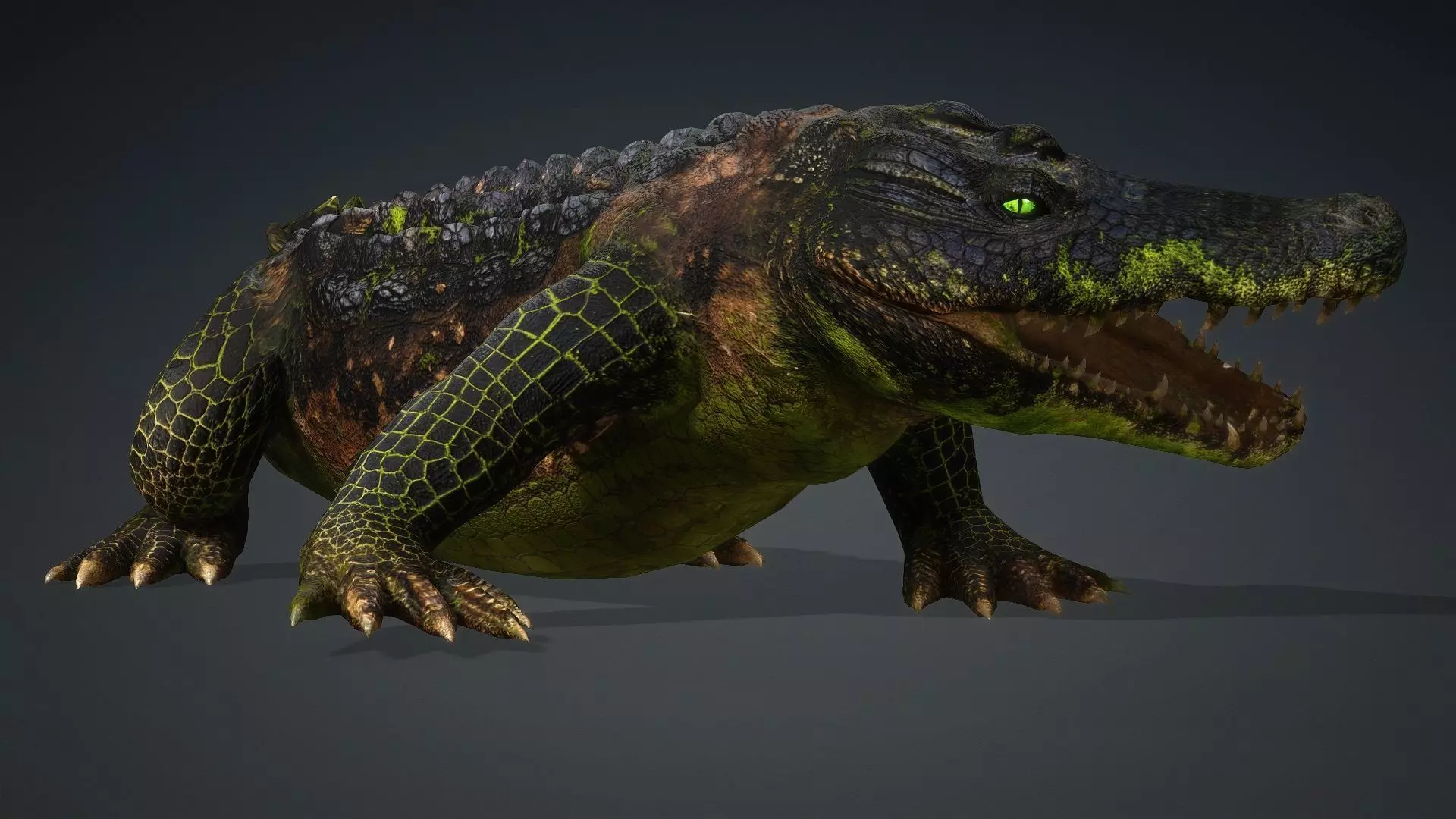 Crocodile-V1c 3D model_14