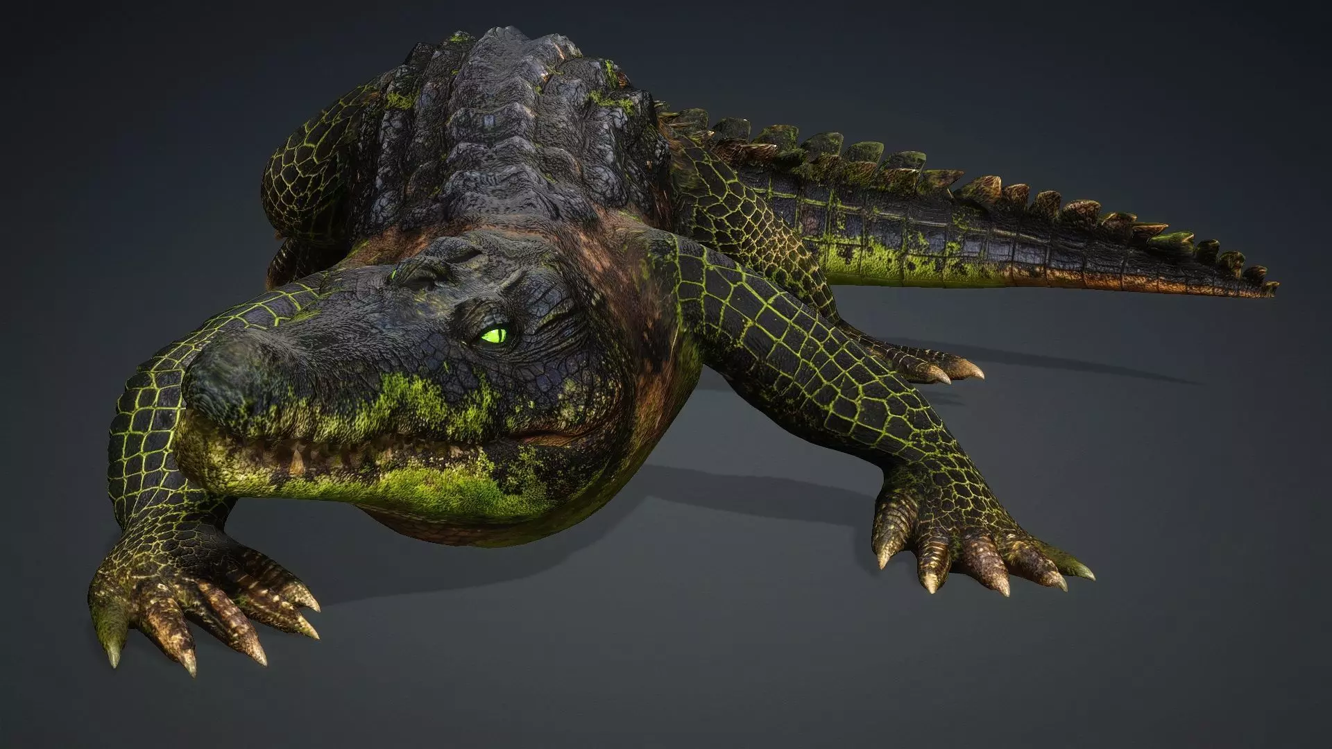Crocodile-V1c 3D model_6