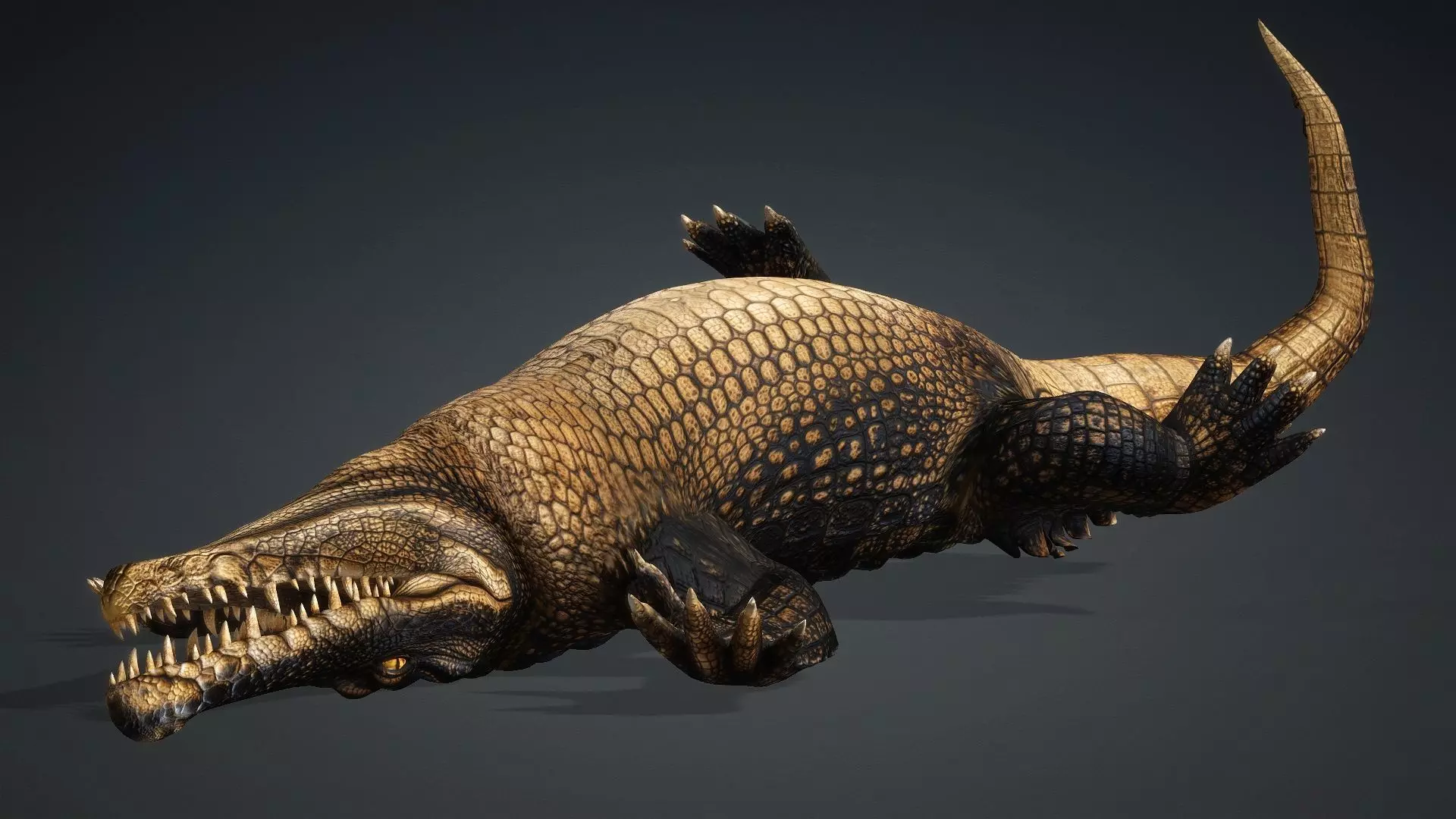 Crocodile-V1d 3D model_9