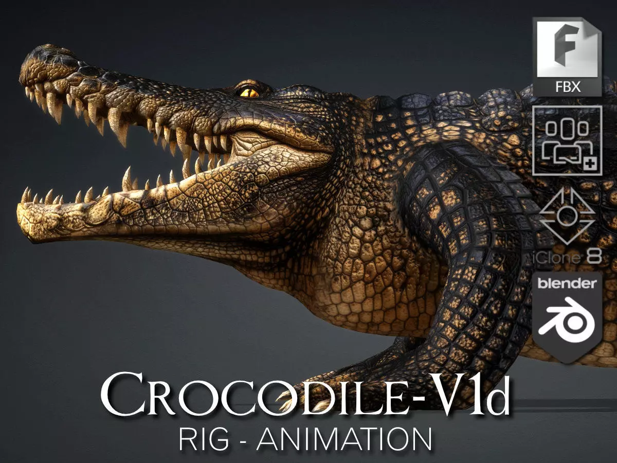 Crocodile-V1d 3D model_0