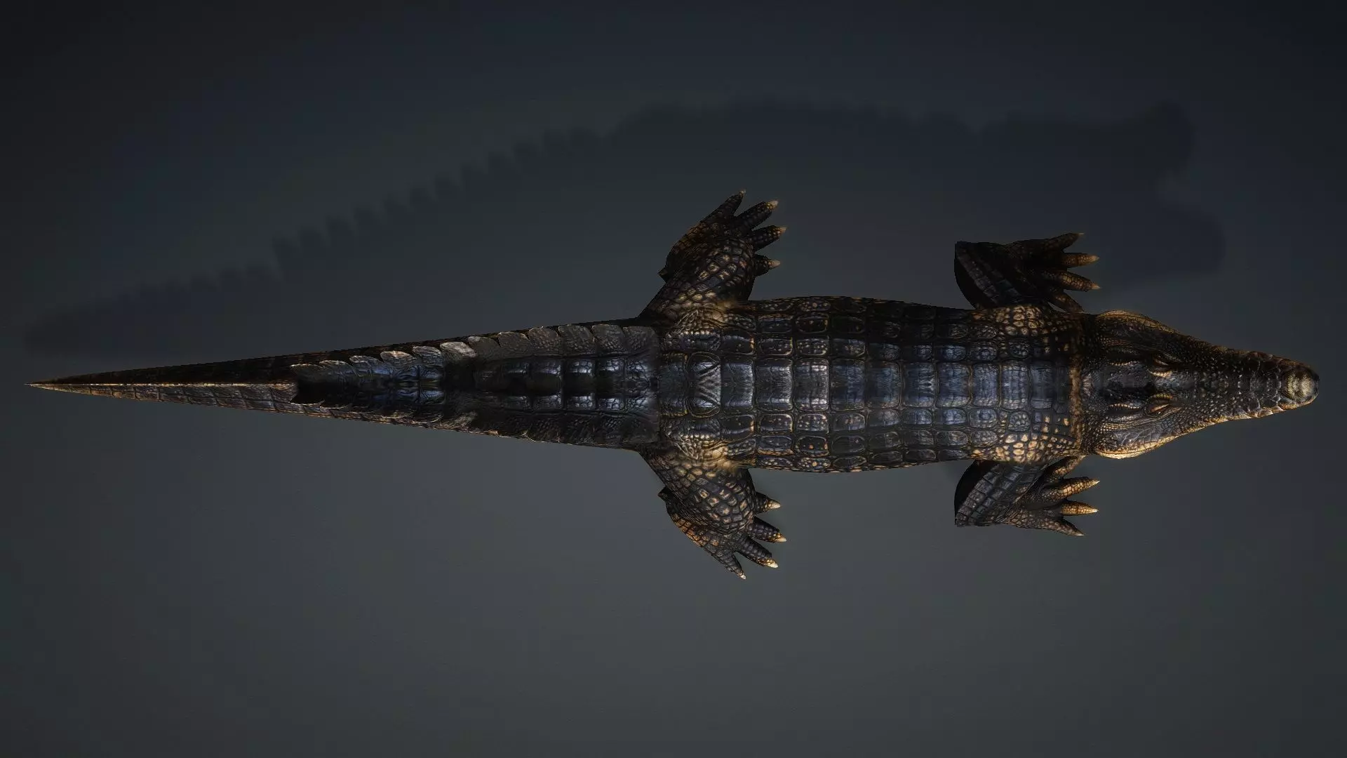 Crocodile-V1d 3D model_11
