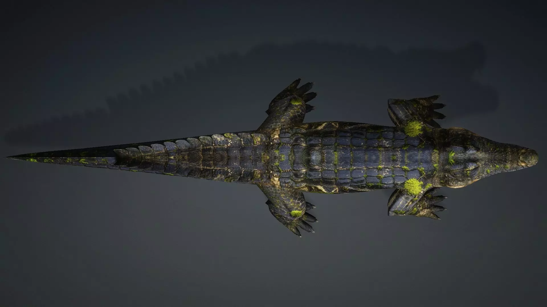 Crocodile-V1e 3D model_11