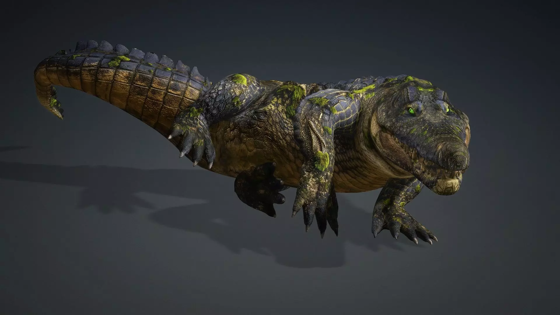 Crocodile-V1e 3D model_8