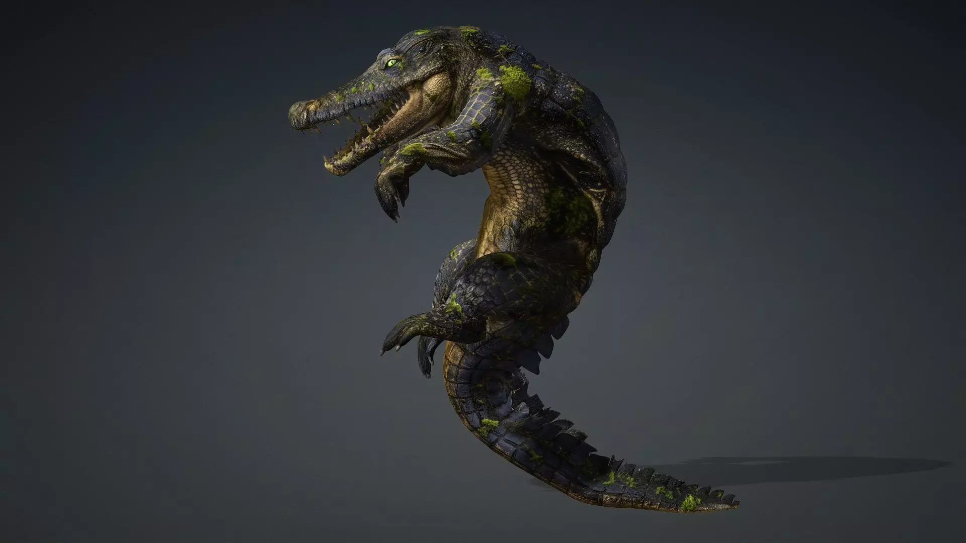 Crocodile-V1e 3D model_6