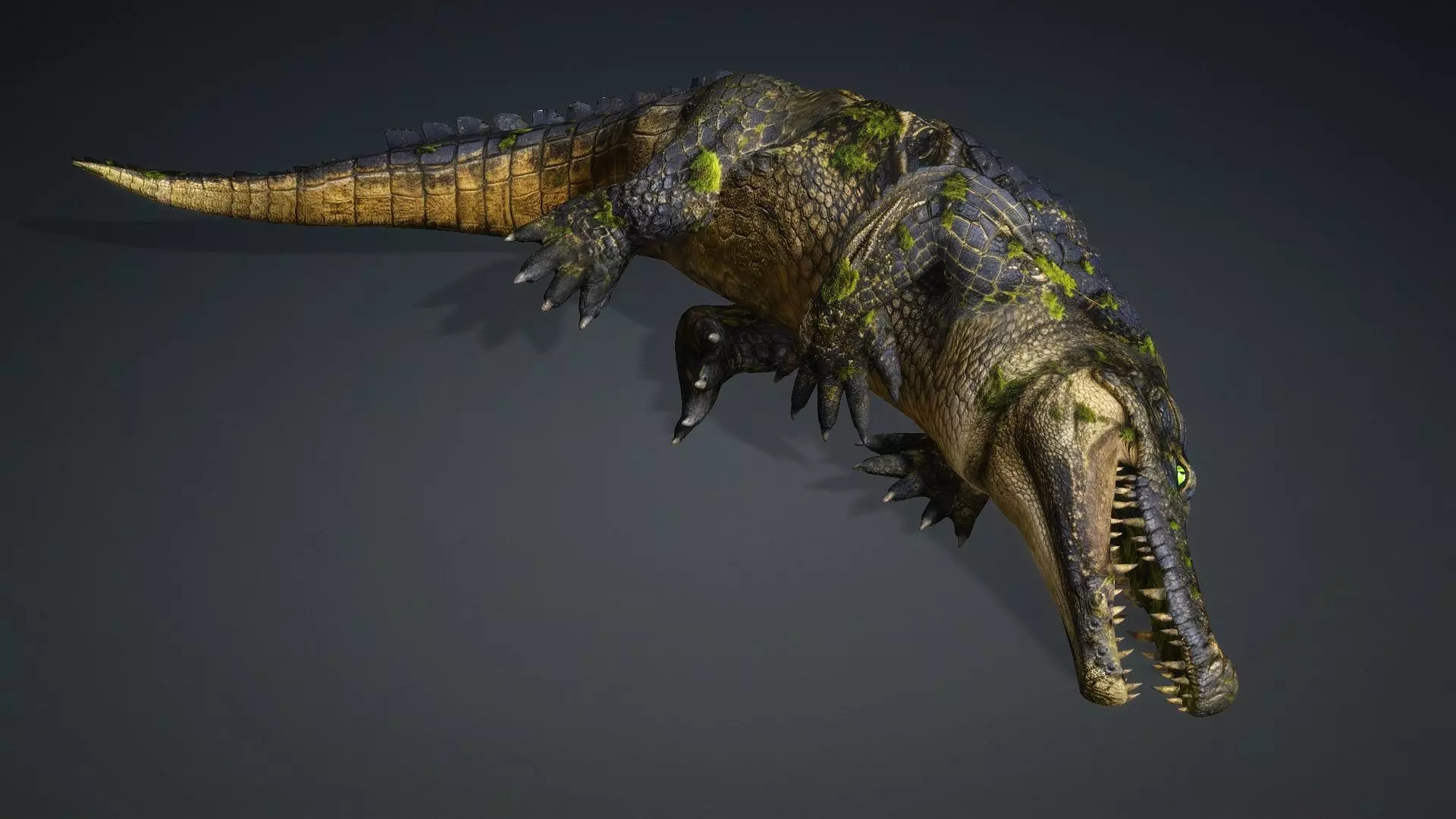 Crocodile-V1e 3D model_7