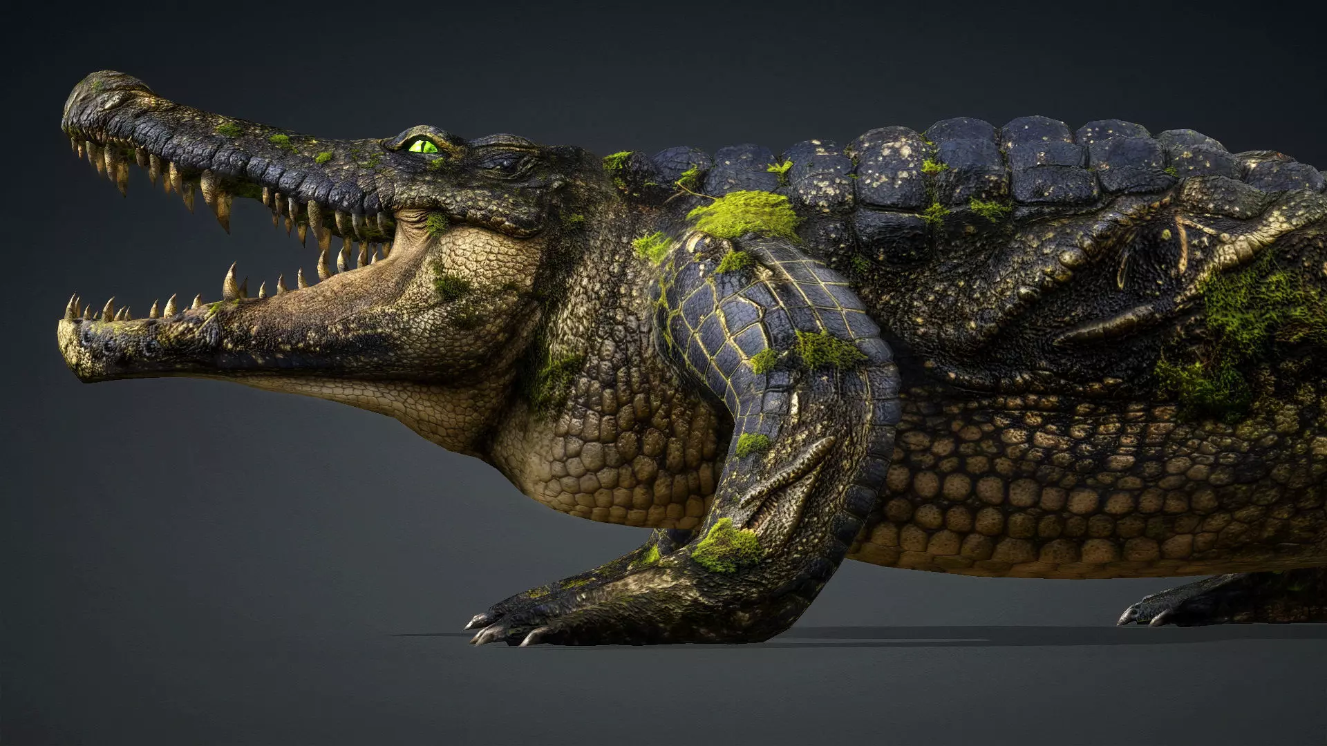 Crocodile-V1e 3D model_3