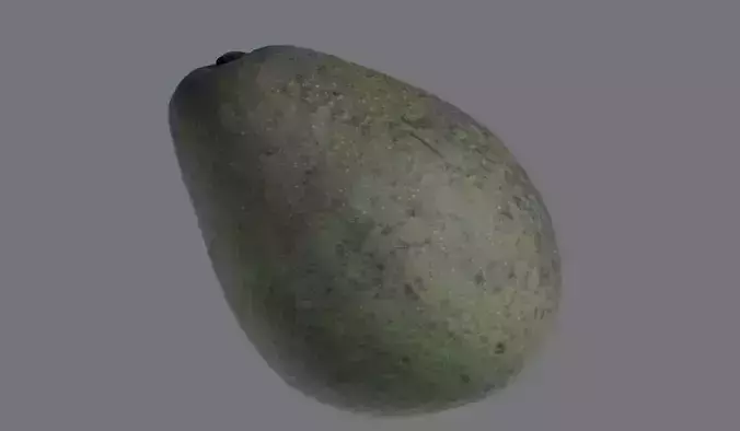 RealisticAvocado3DModel