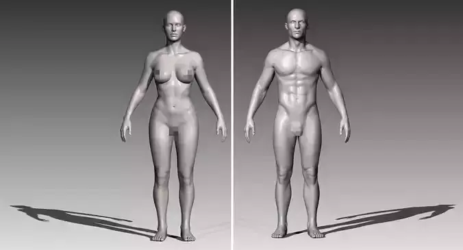 Realistic White Male and Female Bundle 3D model Realistic White Male and Female Bundle 3D model