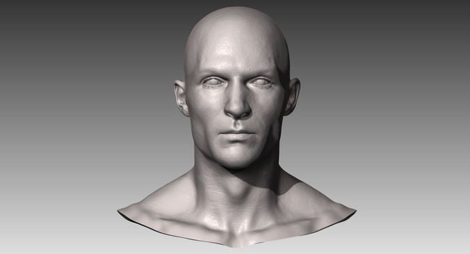 Realistic White Male Head 3D model