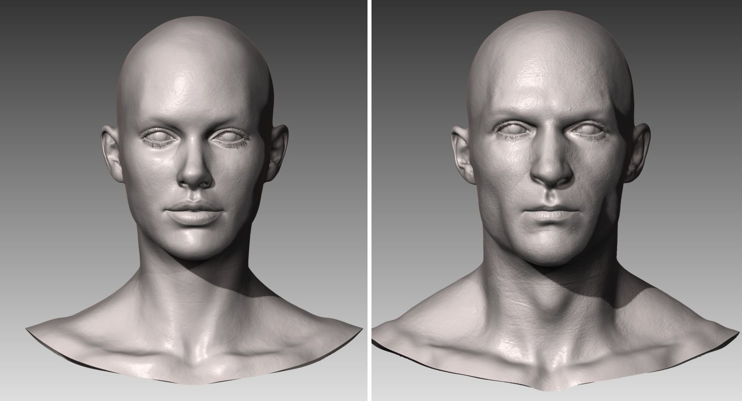 Realistic White Male and Female Head Bundle 3D model