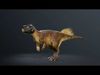  7 Accurate Dinosaurs Rig Assets Pack 3D Model Collection_3