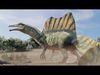 7 Accurate Dinosaurs Rig Assets Pack 3D Model Collection_1