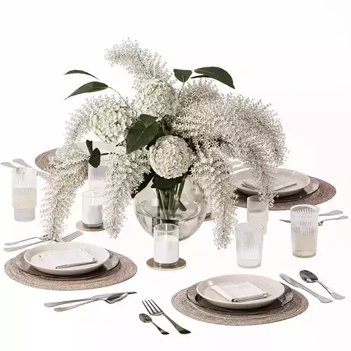 Table setting-H29