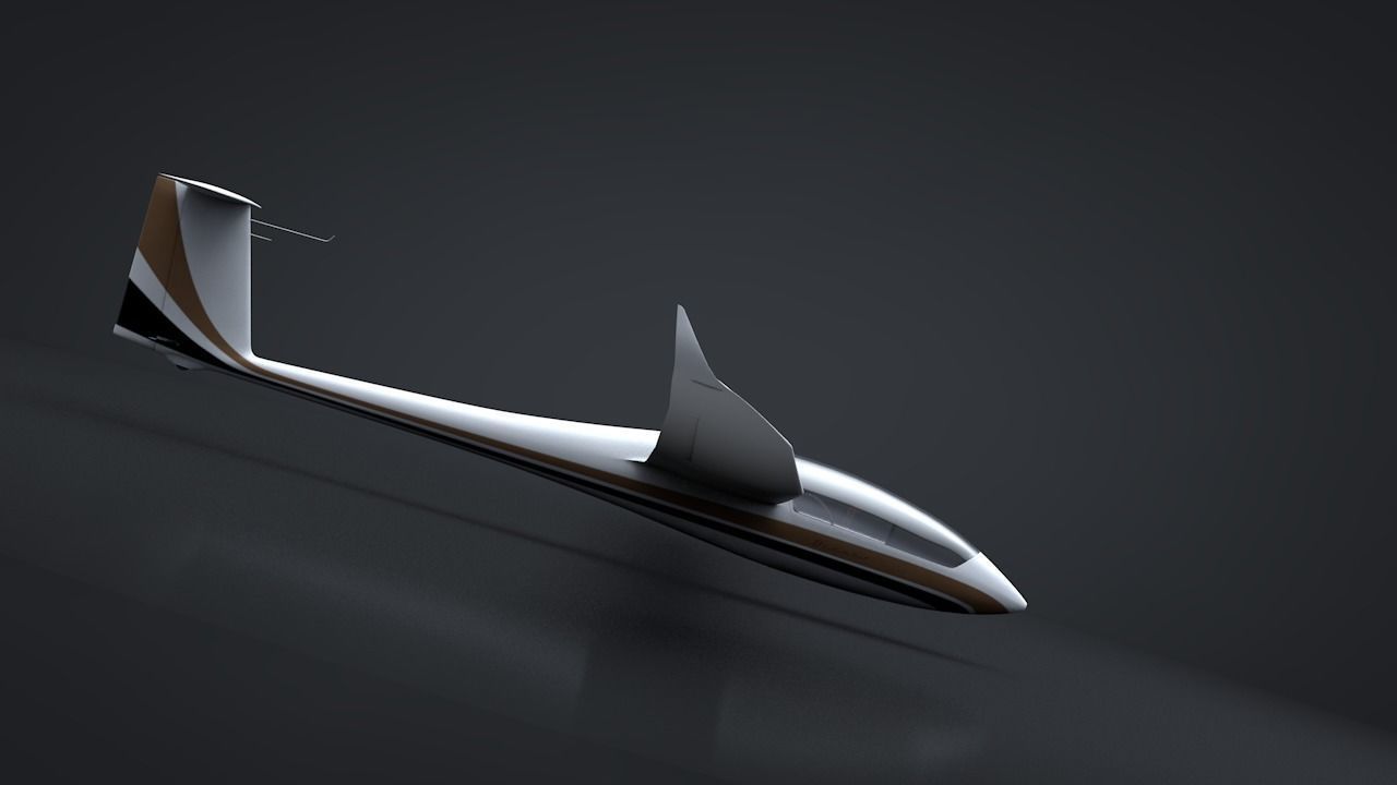 Discus Sailplane 3D model_10