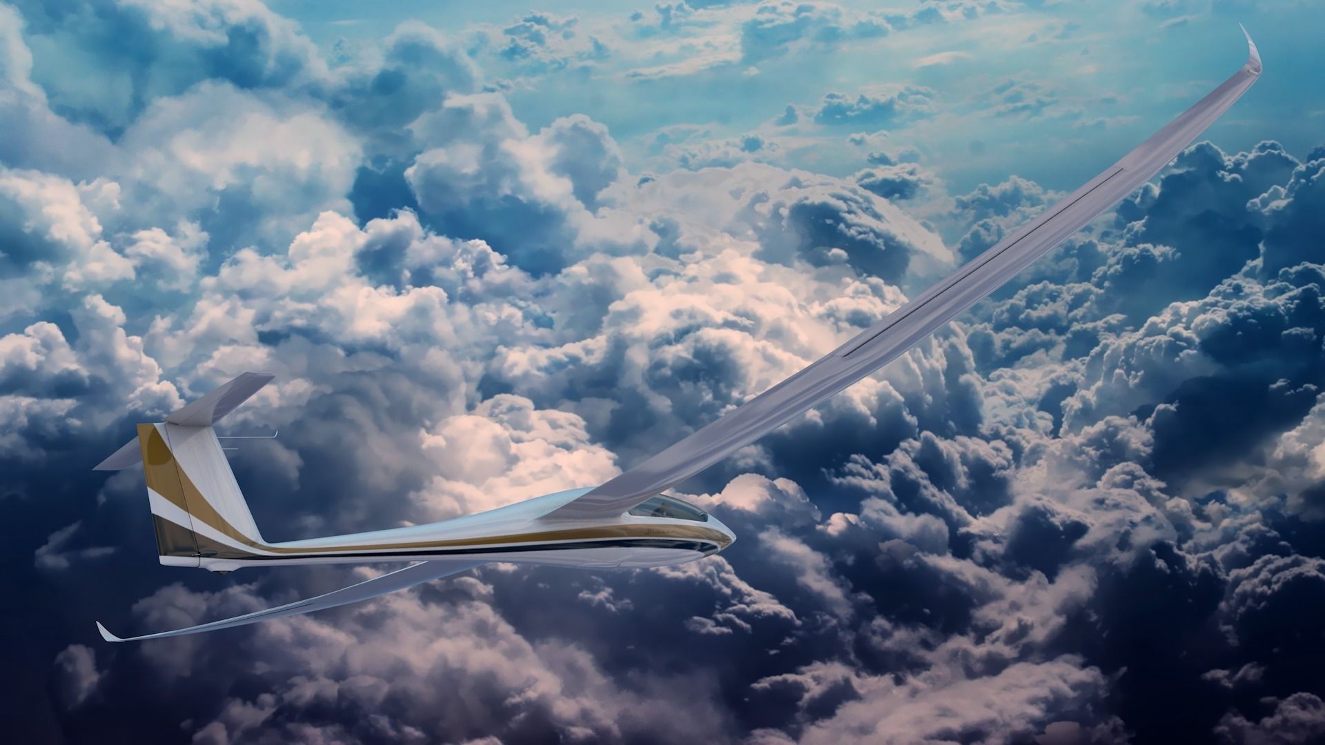 Discus Sailplane 3D model_45