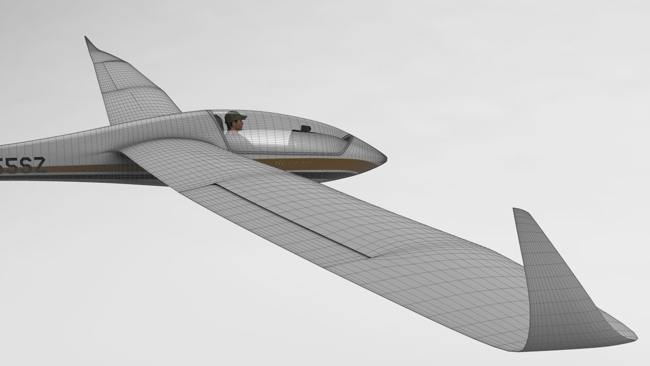 Discus Sailplane 3D model_29