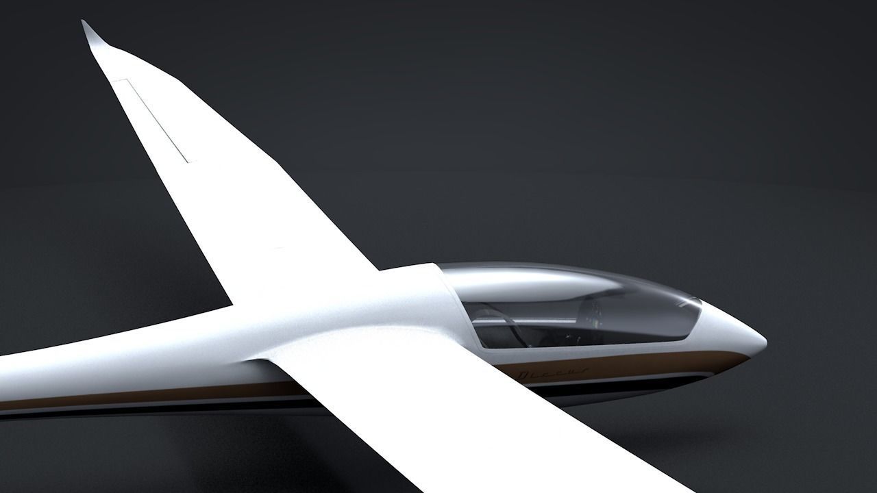 Discus Sailplane 3D model_21