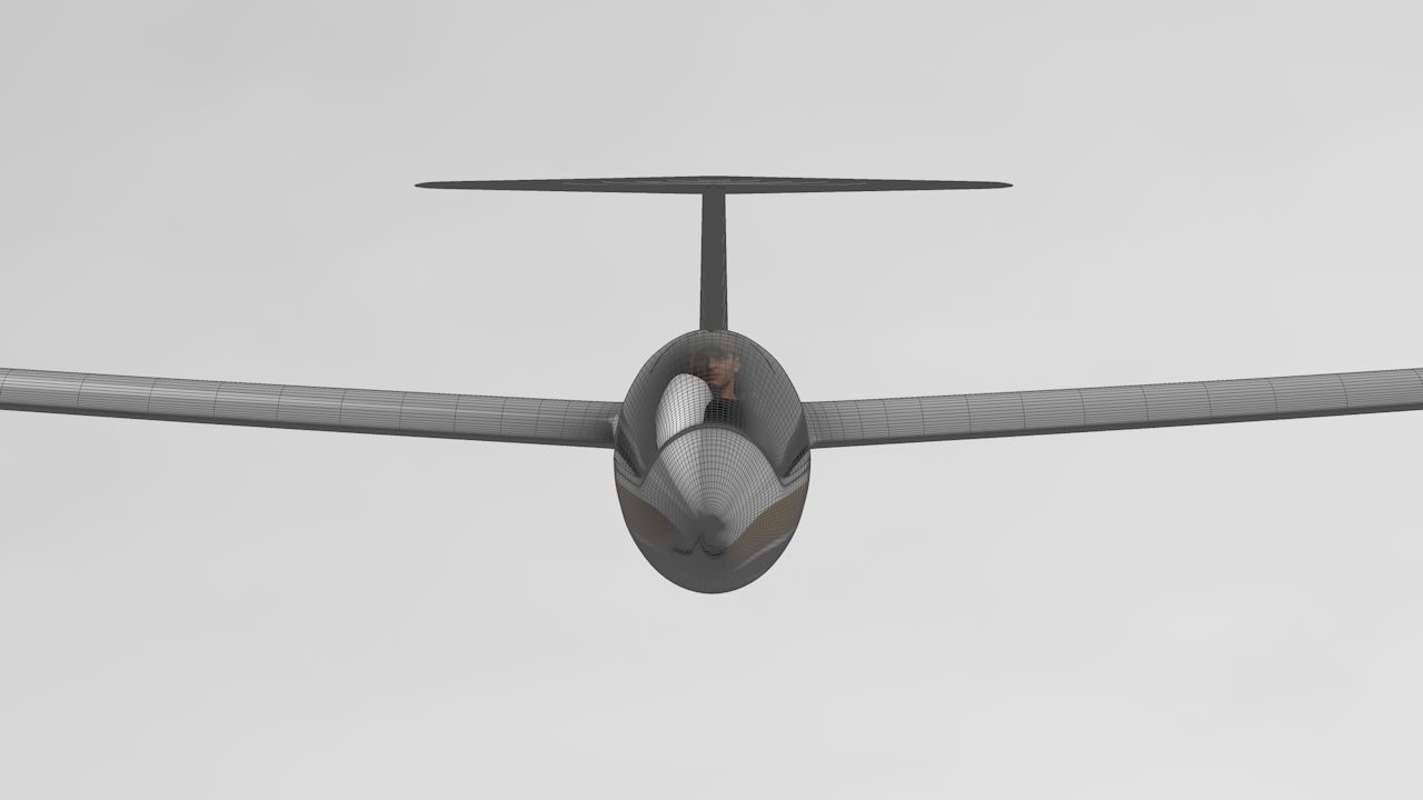 Discus Sailplane 3D model_31