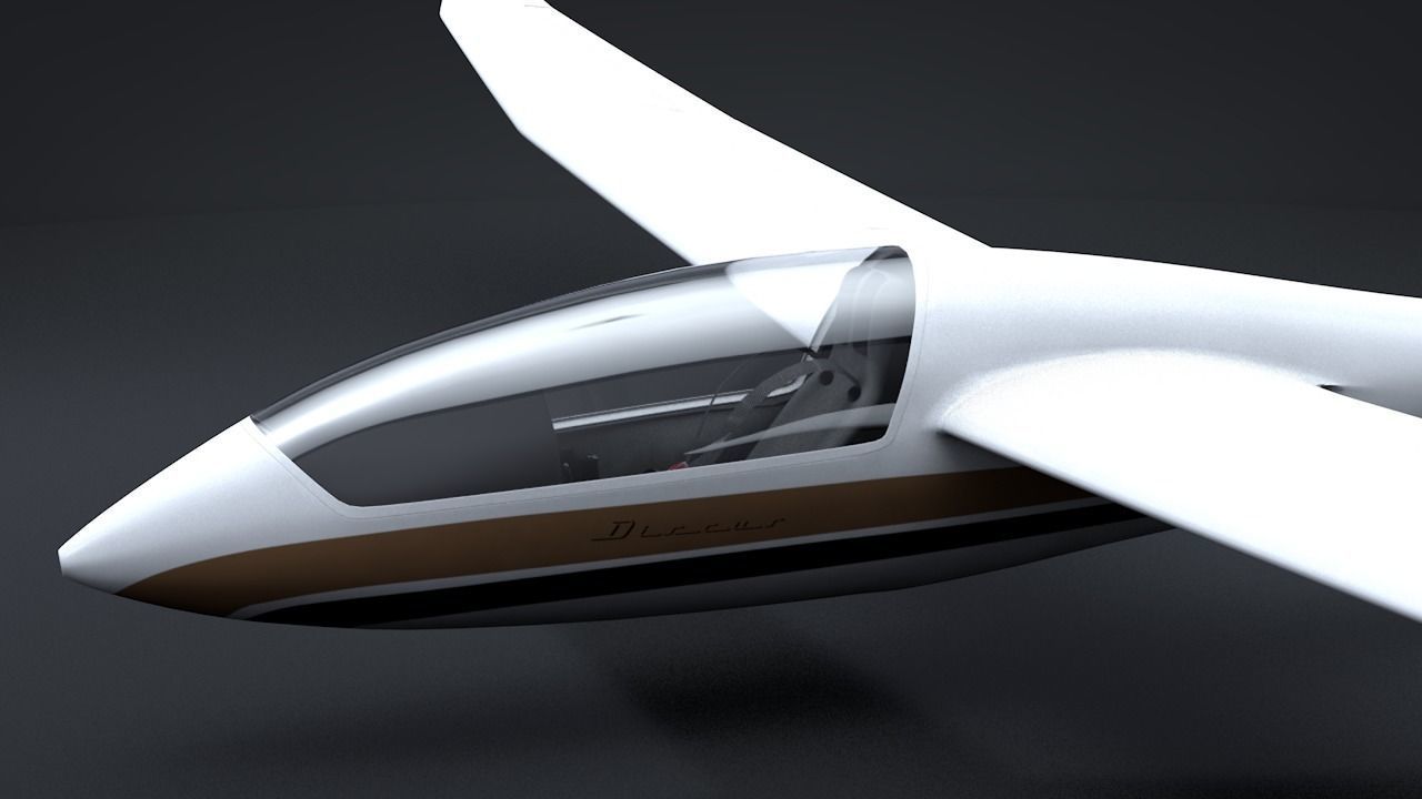 Discus Sailplane 3D model_5