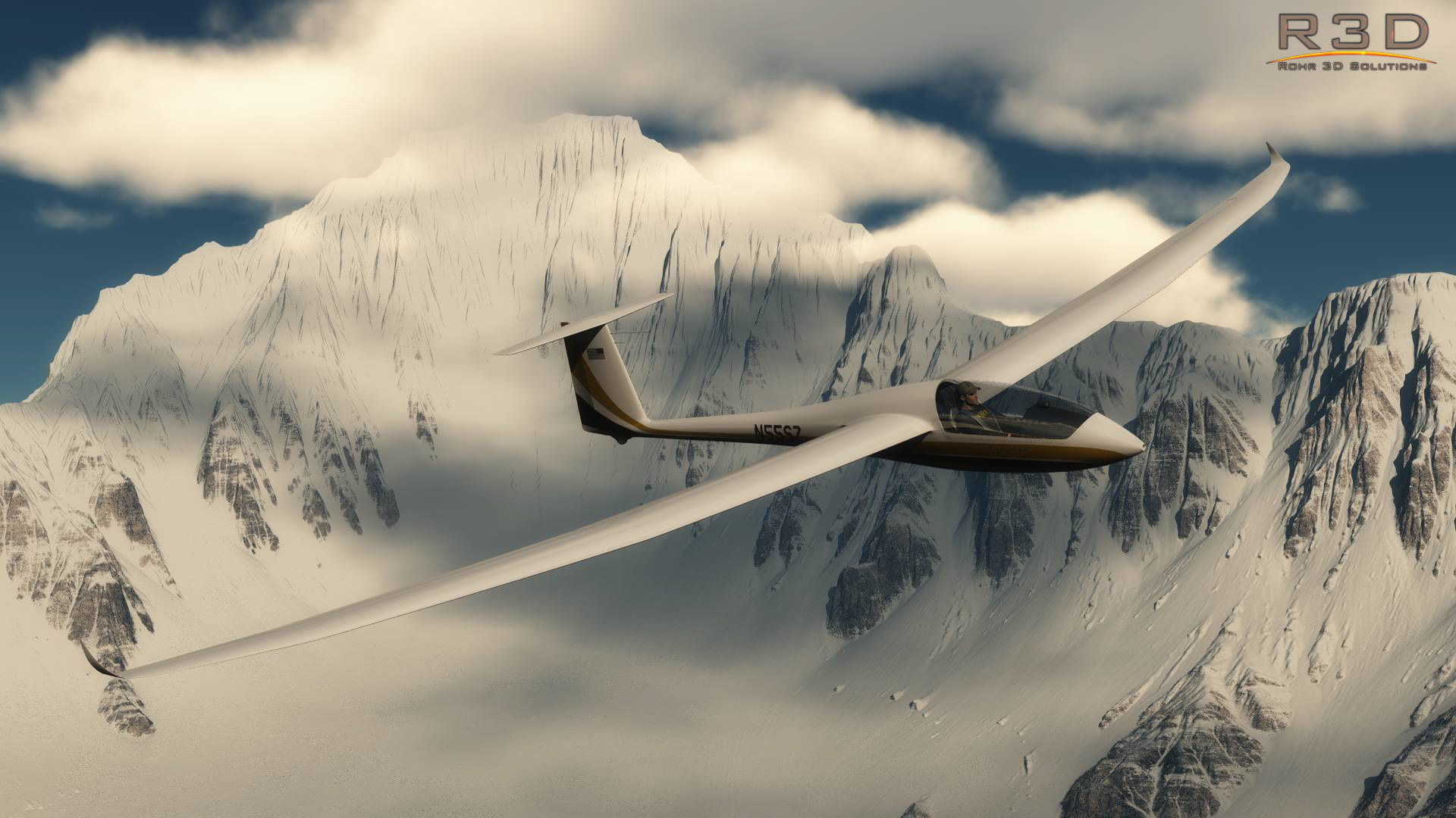 Discus Sailplane 3D model_43