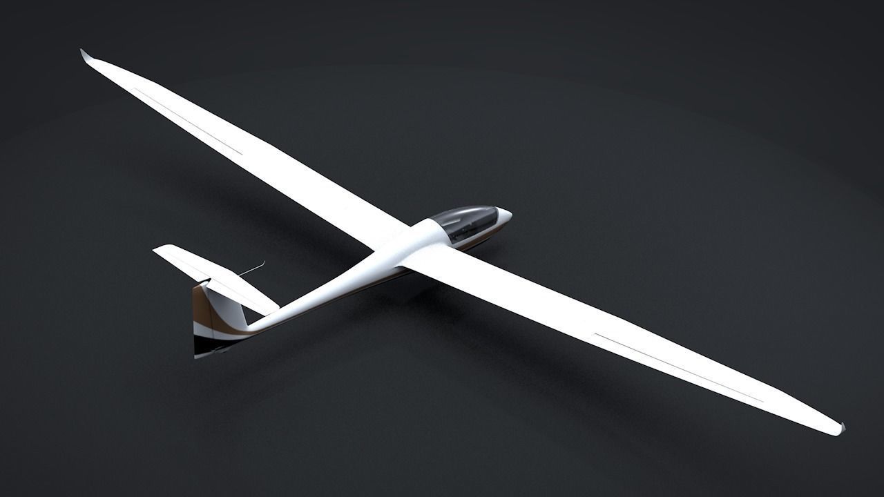 Discus Sailplane 3D model_6