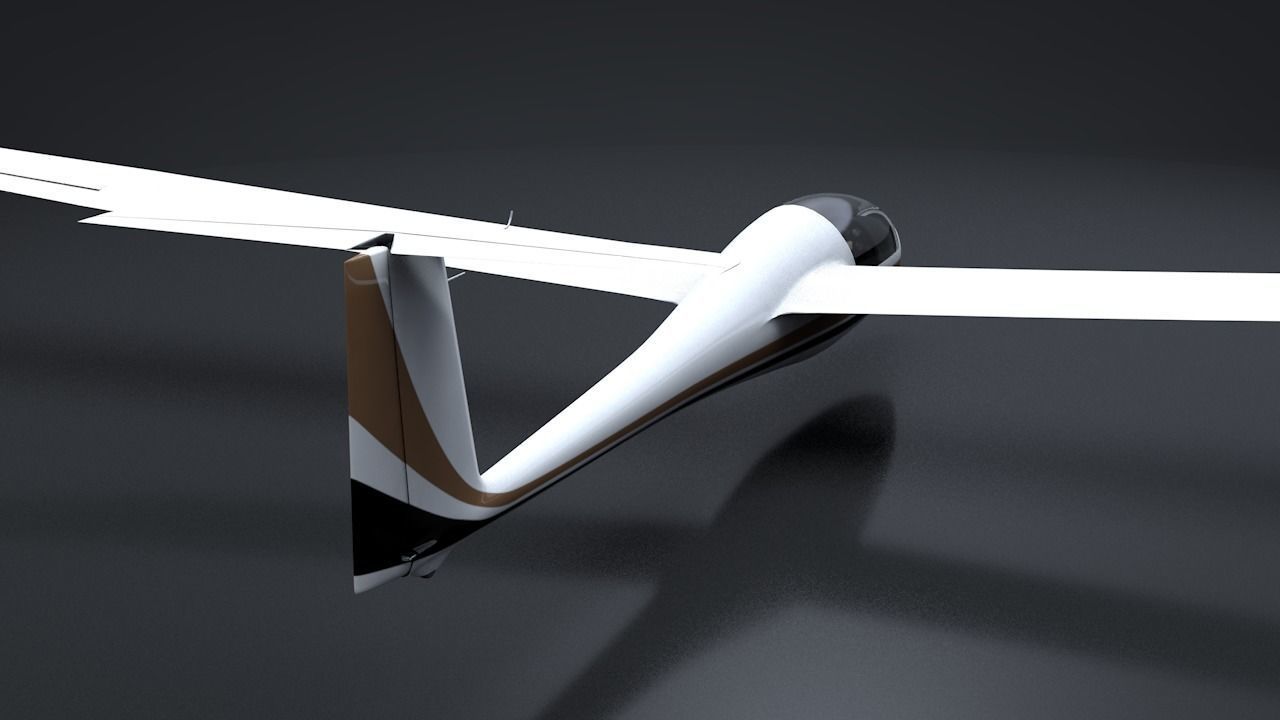 Discus Sailplane 3D model_9