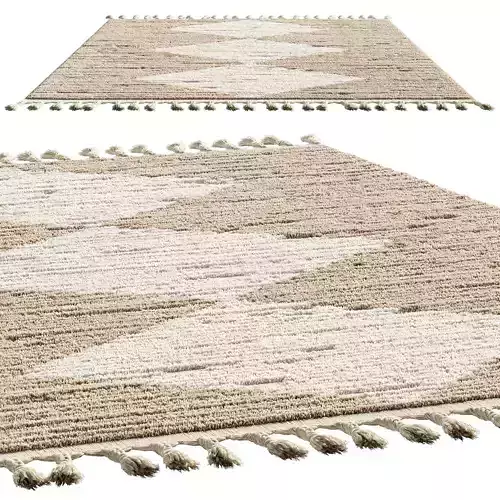 nuLOOM Marissa Diamond Tassel Area Rug  3D model