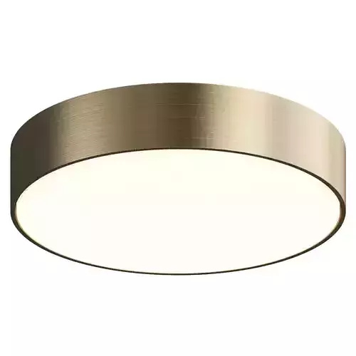 Ceiling lamp Aployt Evon