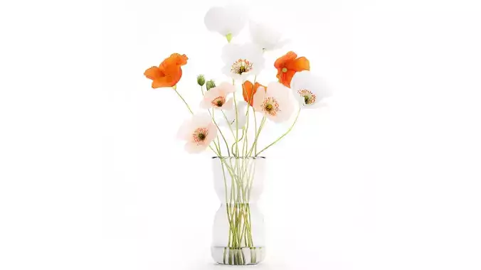 Bouquet In A Glass Vase With Icelandic Poppy 597