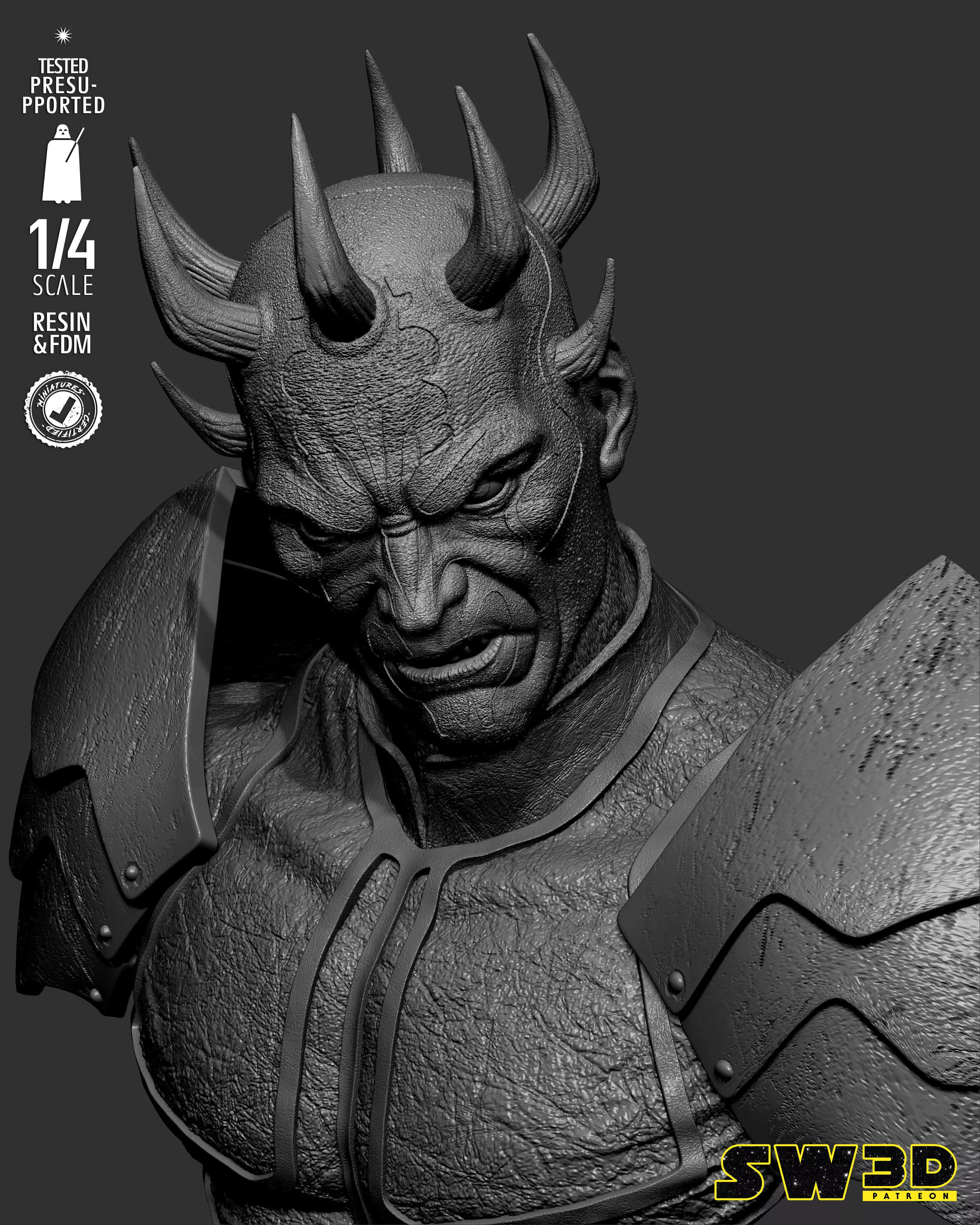 STAR WARS Savage Portrait Bust 3D print model_22