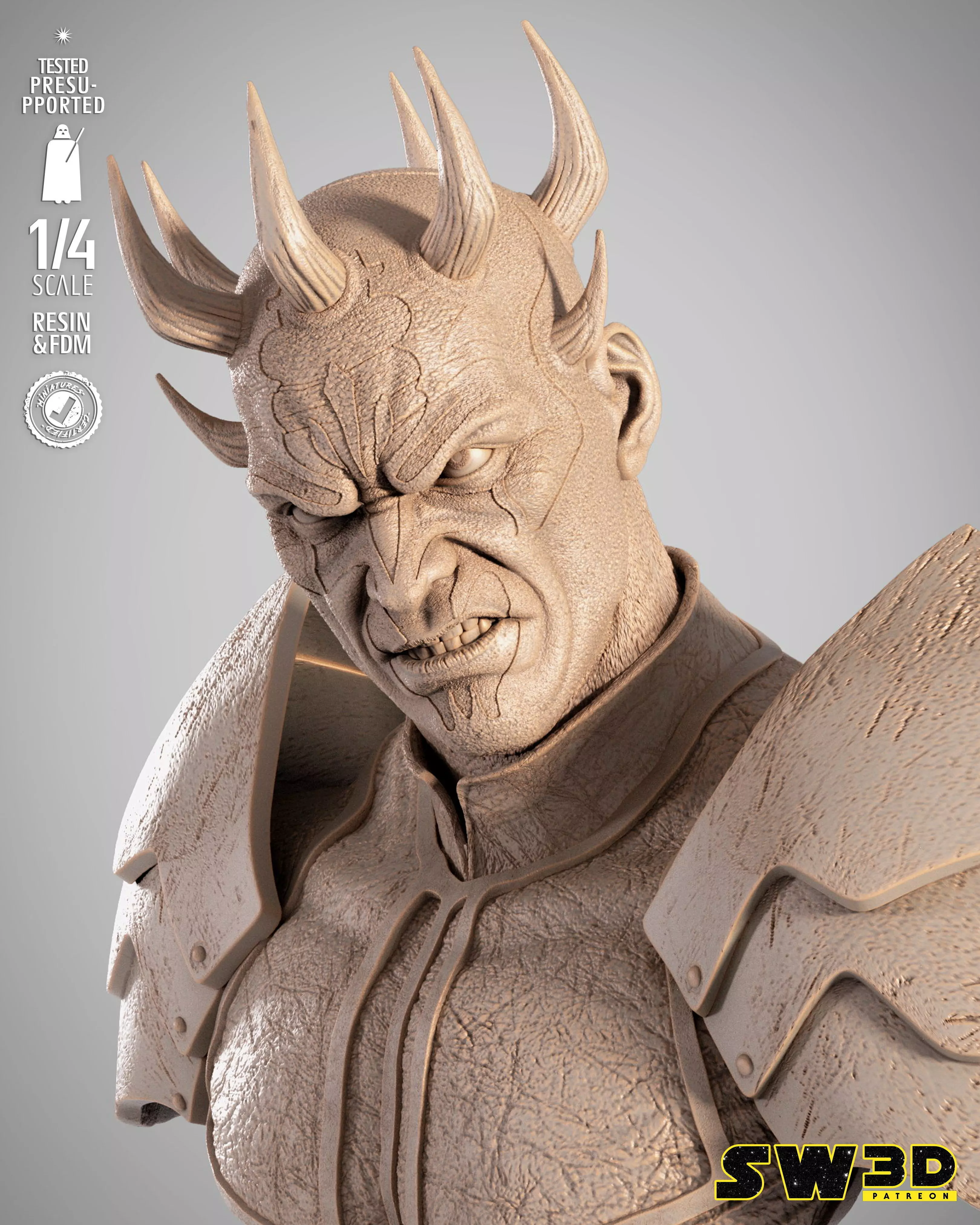 STAR WARS Savage Portrait Bust 3D print model_6