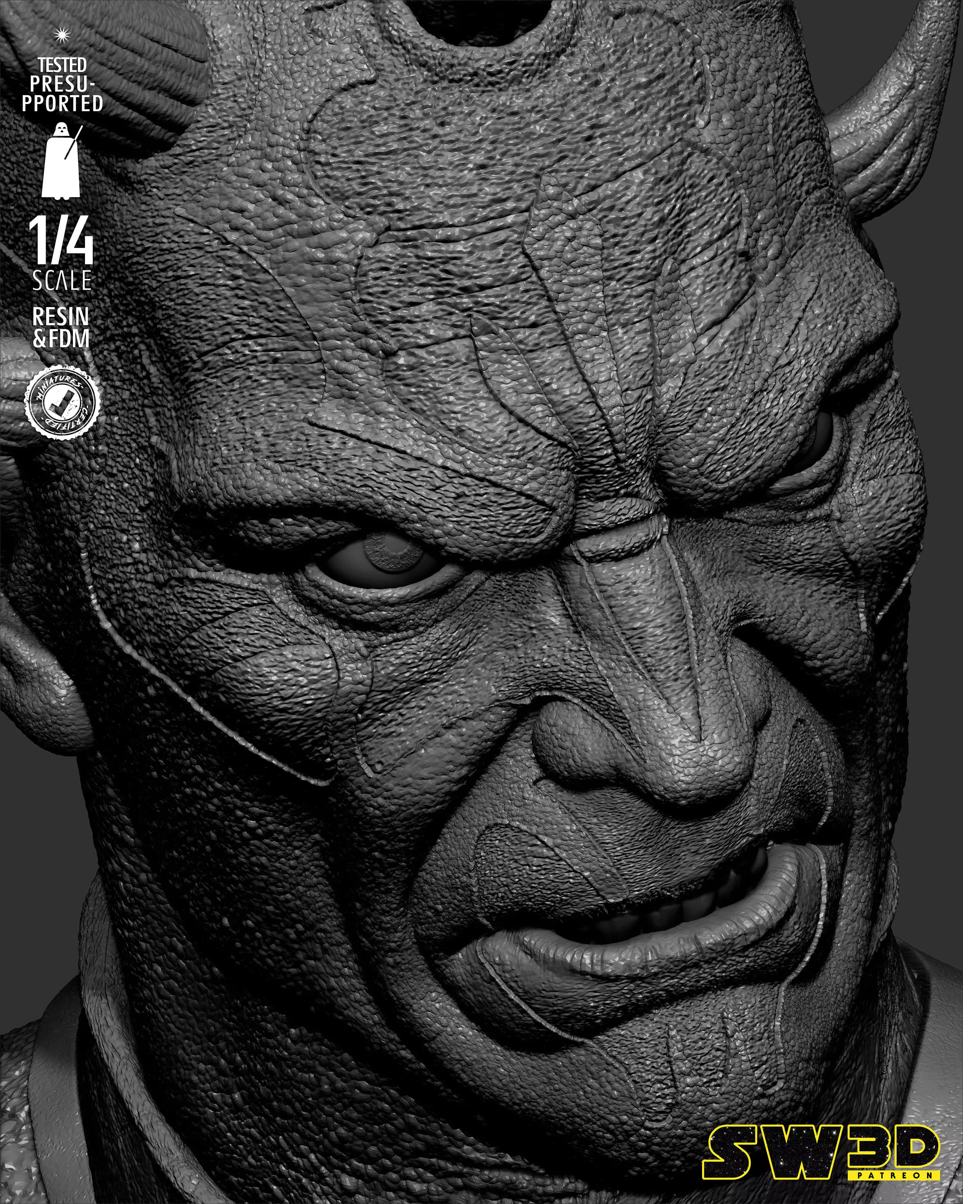 STAR WARS Savage Portrait Bust 3D print model_32