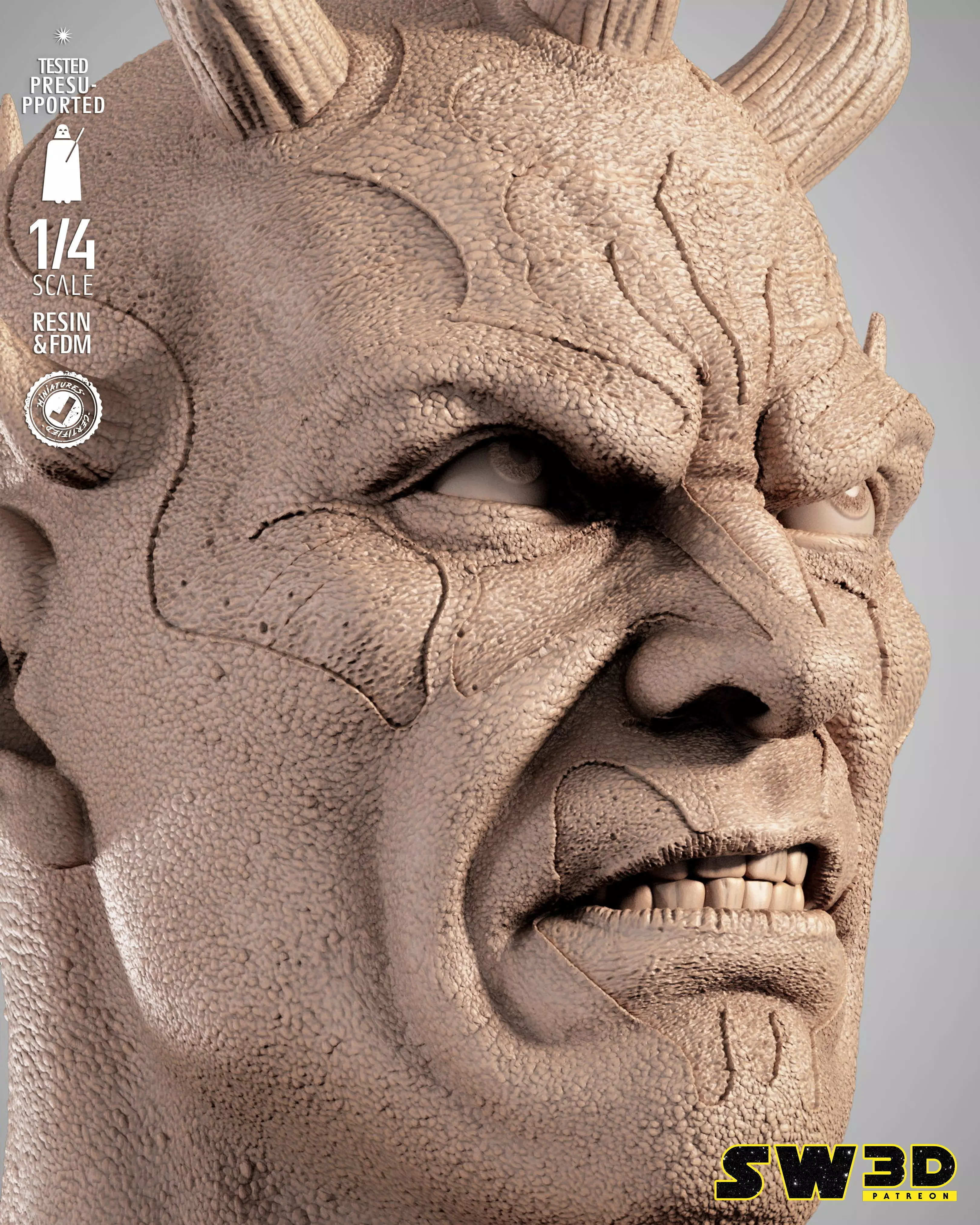 STAR WARS Savage Portrait Bust 3D print model_13