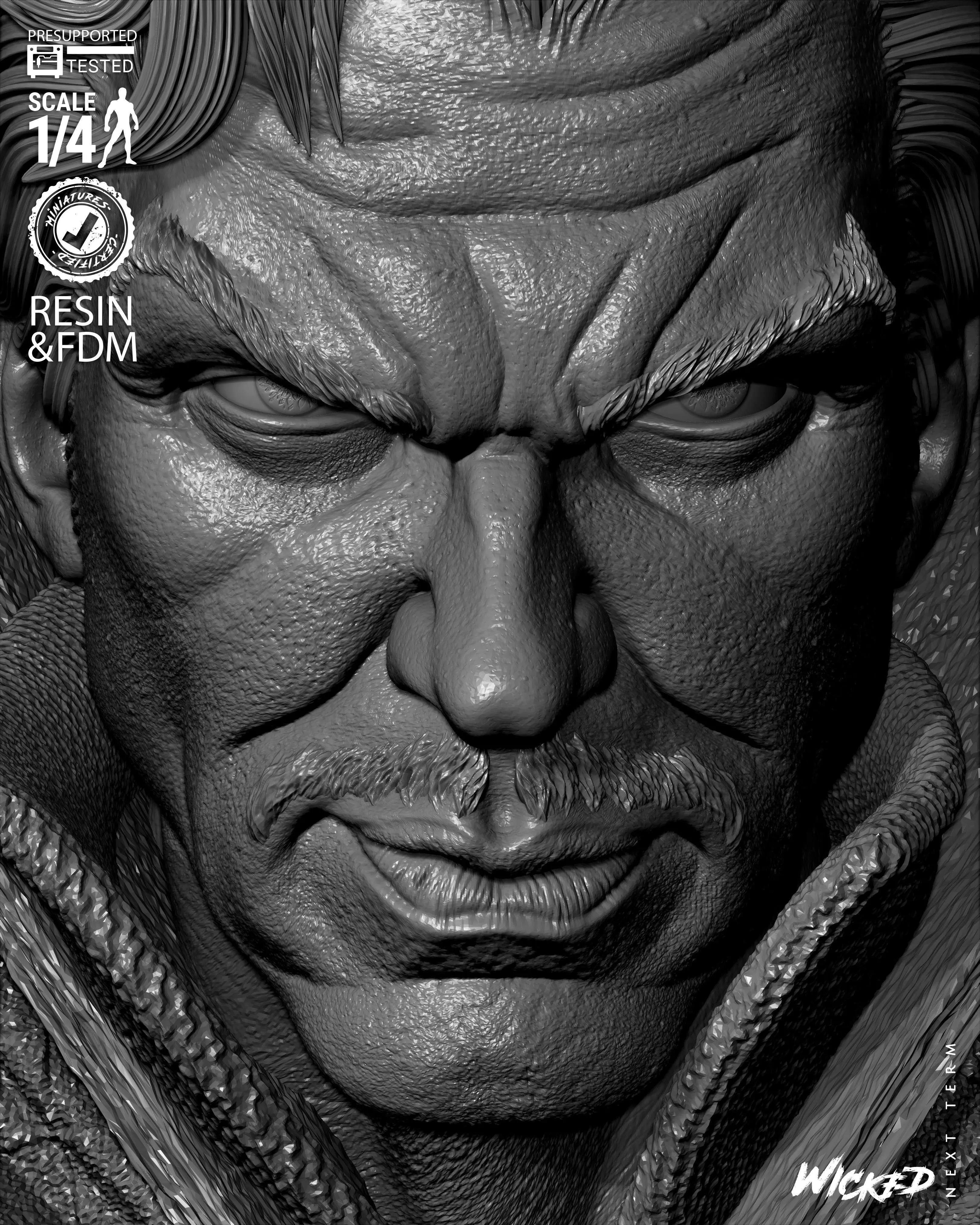 Wicked Marvel Dr Strange Portrait Bust 3D print model_28