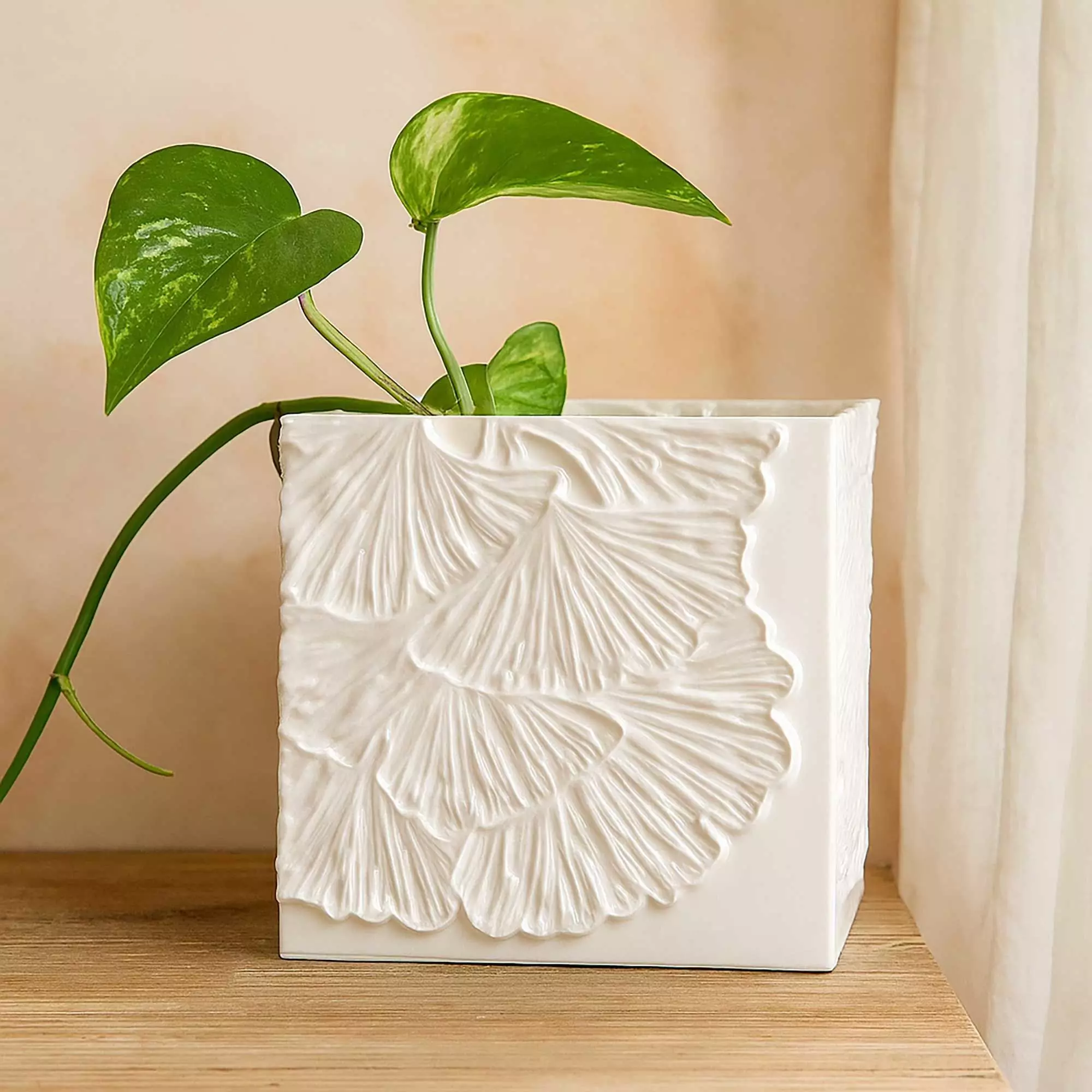 Ginkgo Biloba Plant Pot With Drainage No Supports 3D print model_0