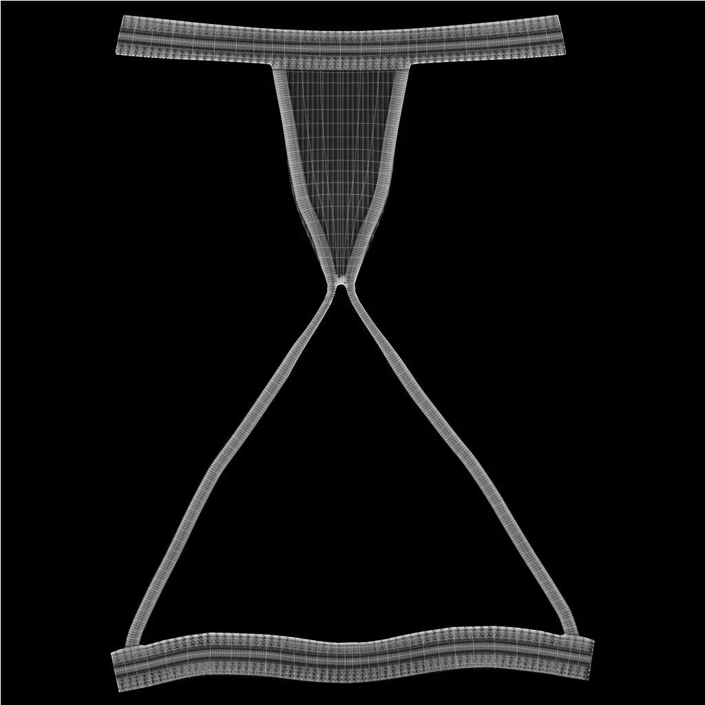 Daily Jockstrap Low-poly 3D model_13