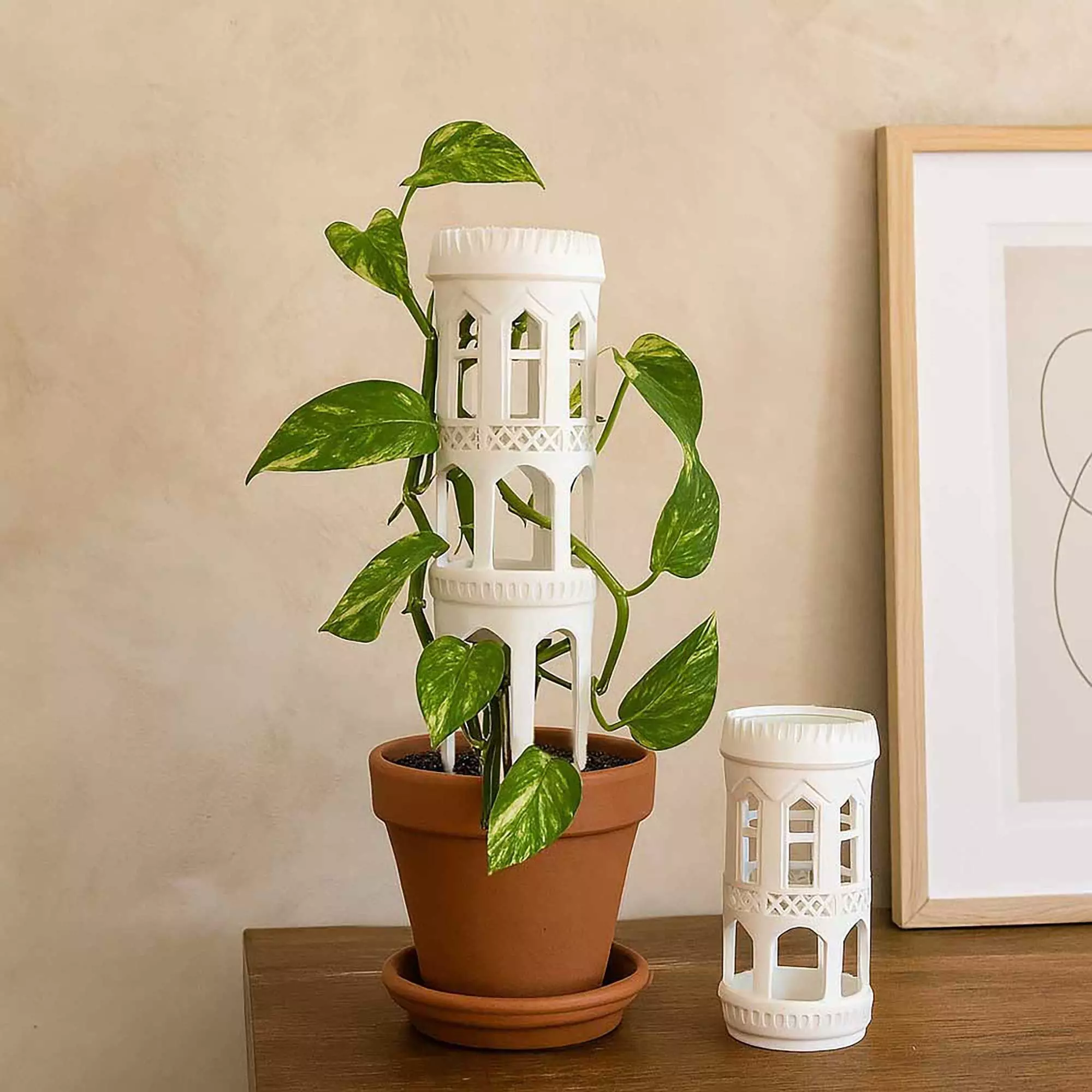 Moss Pole Plant Support No Supports 3D print model_0