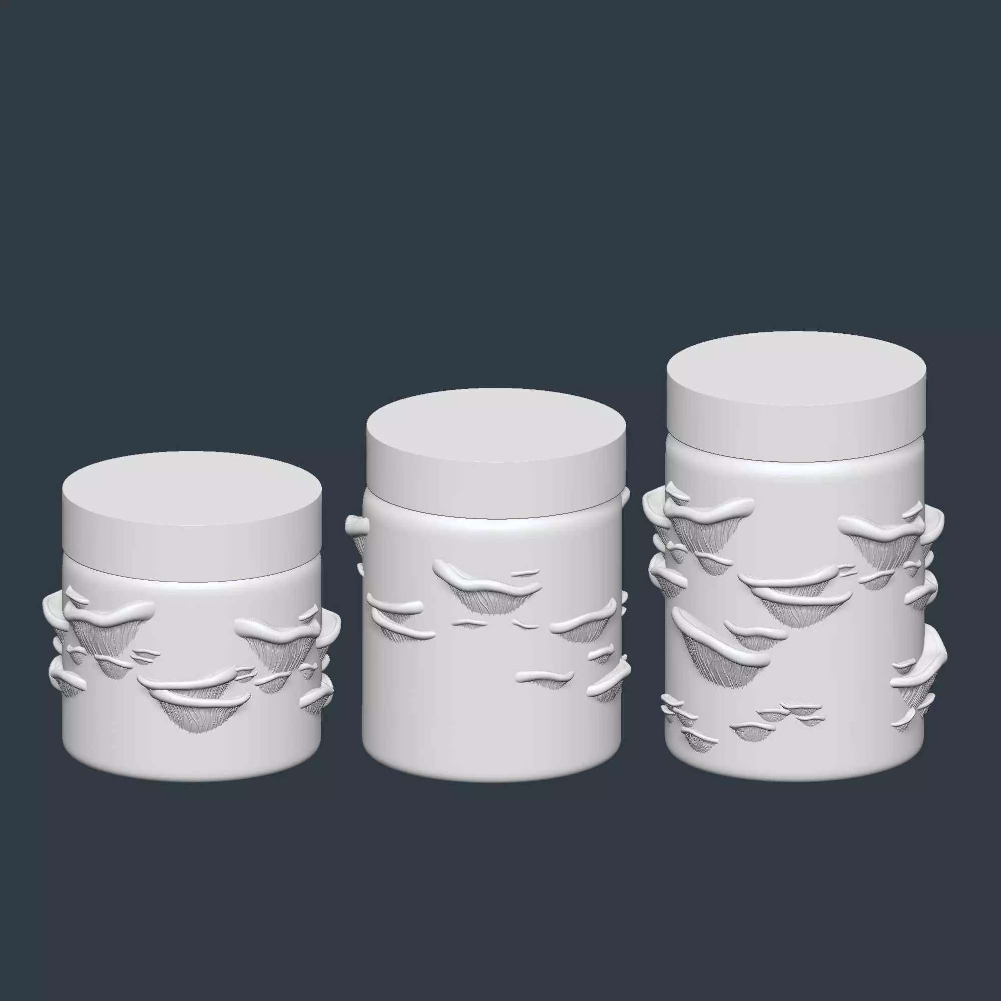 Mushroom Jar Set of 3 Storage Box No Supports 3D print model_1