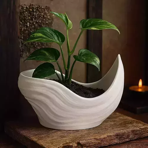 Modern Plant Pot No Supports