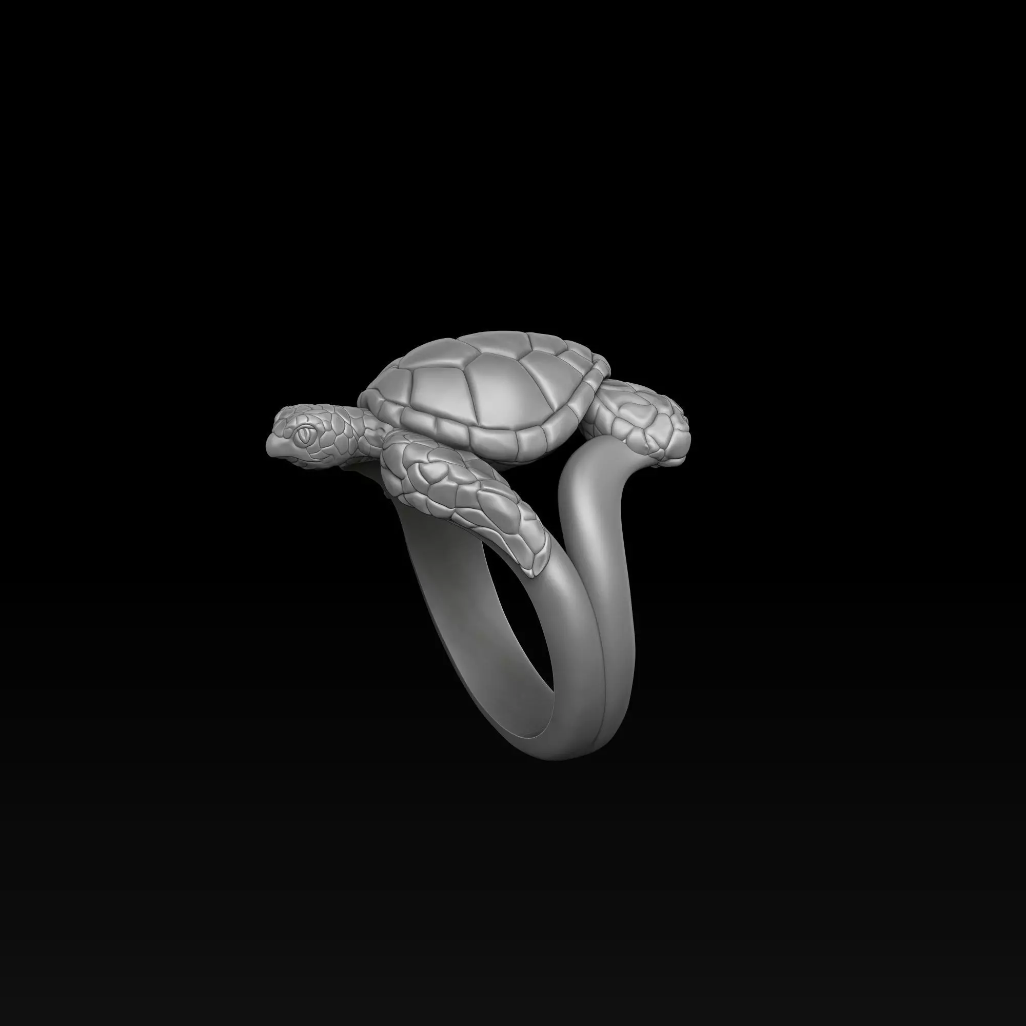 Turtle Ring Pendant Collection _3