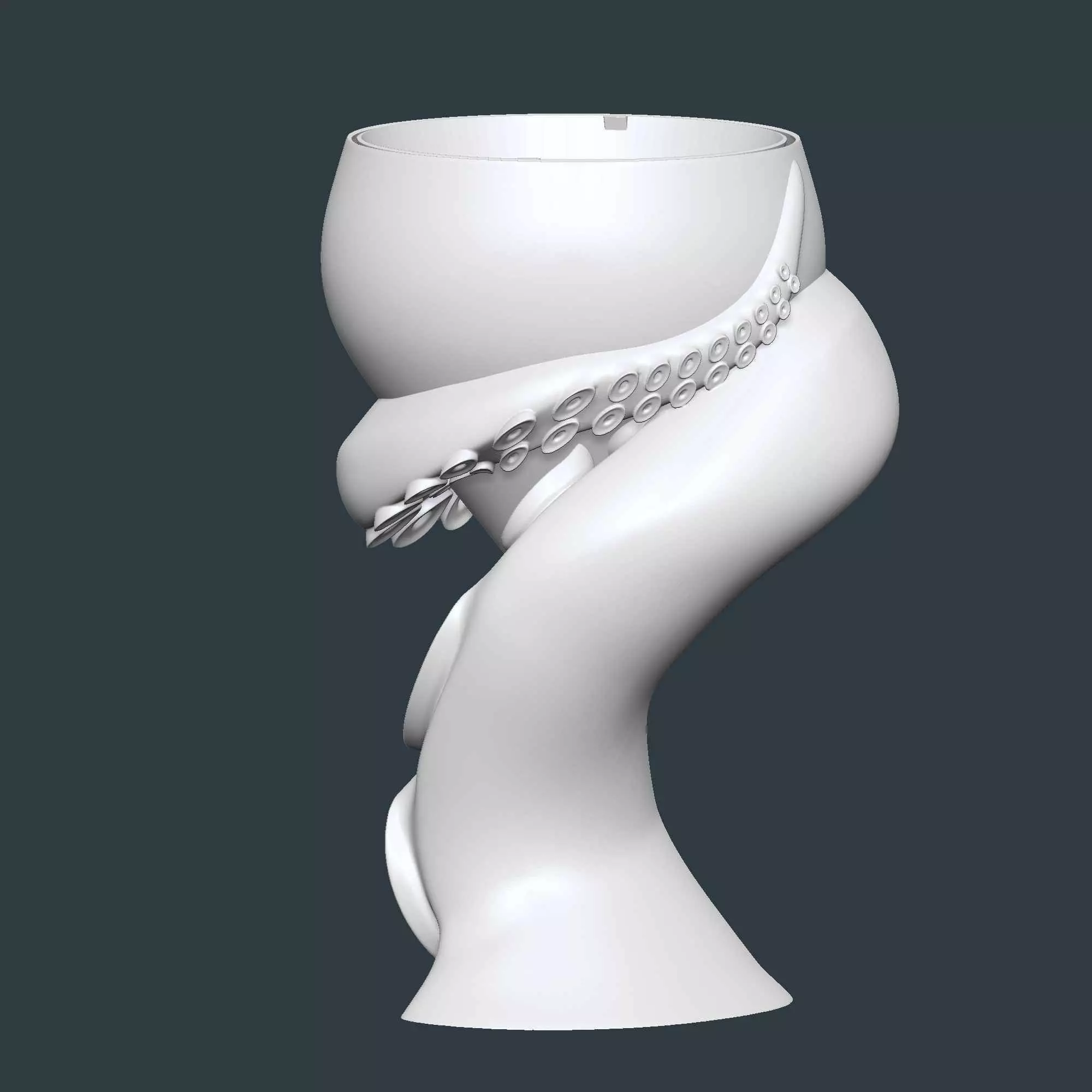 Octopus Tentacles Plant Pot With Drainage No Supports 3D print model_5
