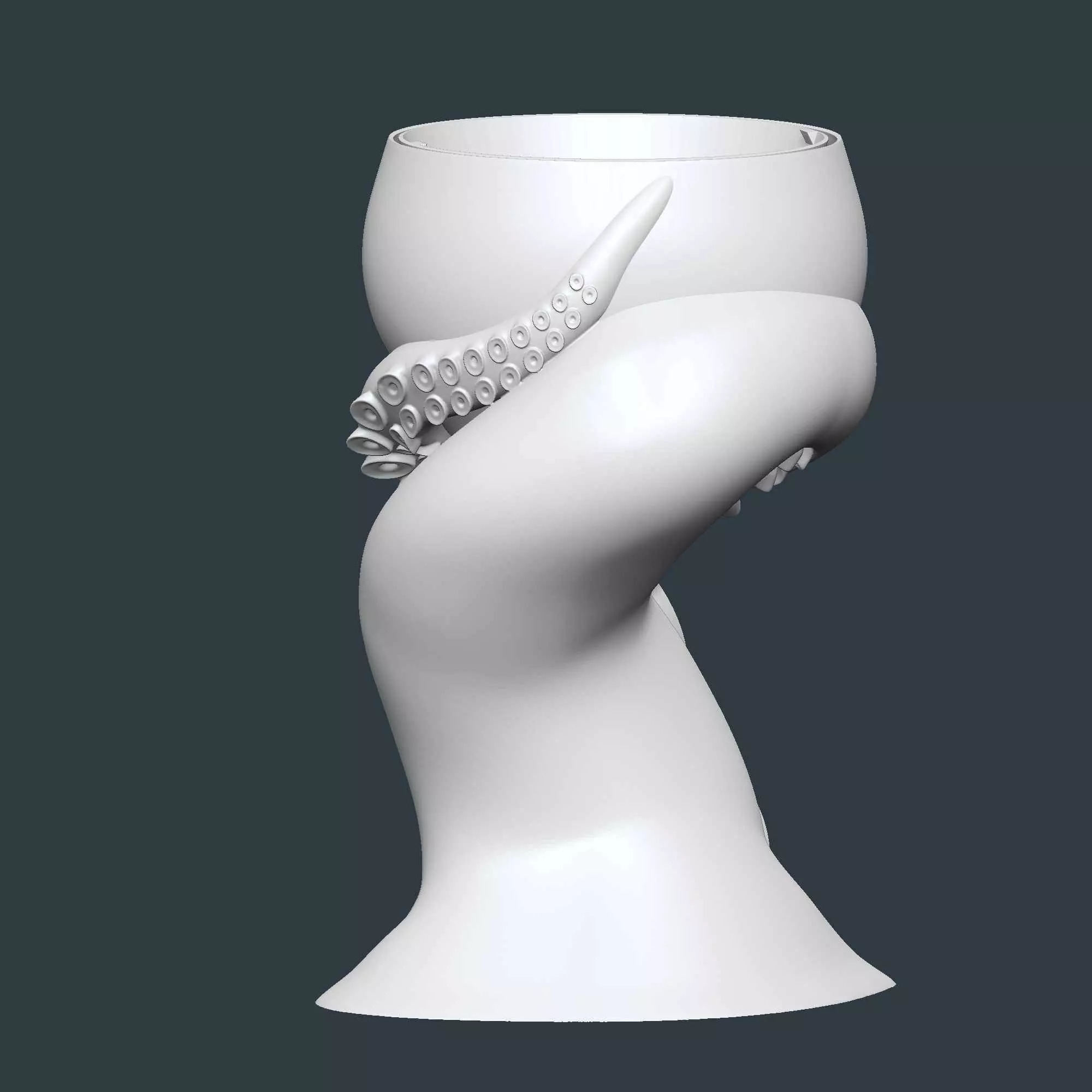 Octopus Tentacles Plant Pot With Drainage No Supports 3D print model_6