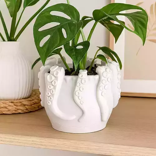 Octopus Tentacles Plant Pot With Drainage No Supports 3D print model